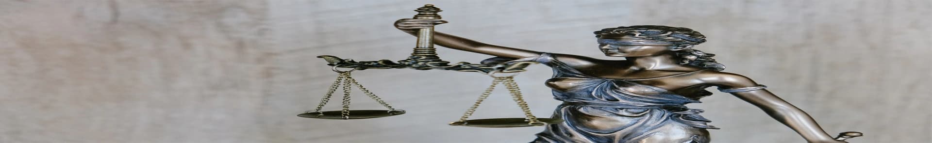 The Essentials of Contracting and Contract Dispute Resolution