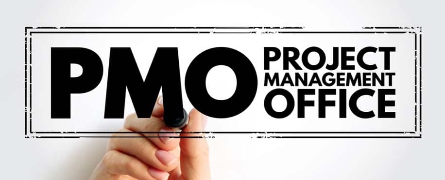 Accounting Professional