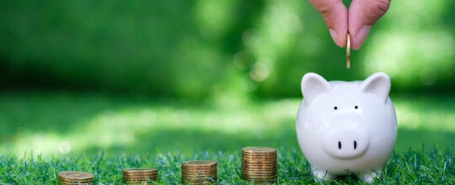 Green Accounting: Integrating Sustainability into Financial Reporting