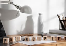 Procurement Function And Its Fundamental Impact on the Success and Continuity of the Organization