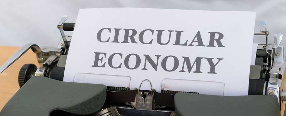 Circular procurement: strategies for building the principles of sustainability and the circular economy