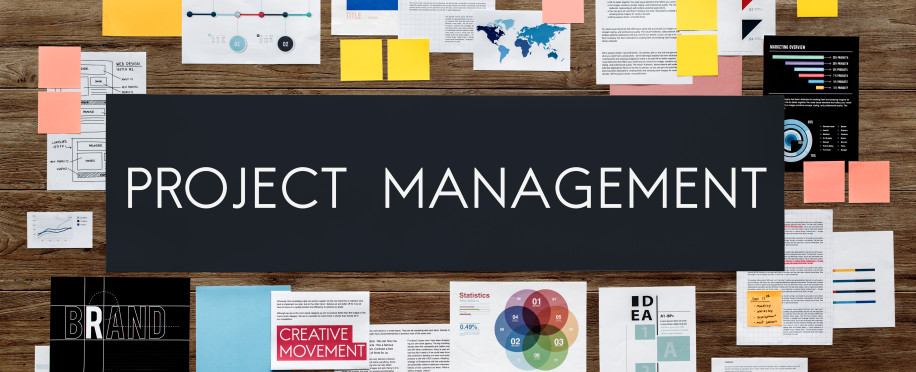 Applying Project Management Principles to Achieve Project Goals
