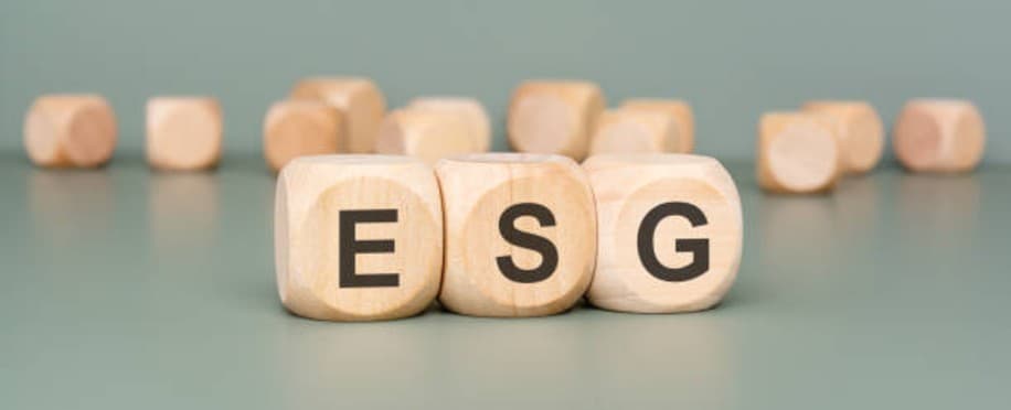 ESG Reporting for Business: From Compliance to Strategic Value Creation