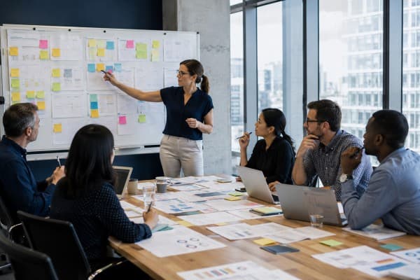 Project Management Fundamentals for Professionals