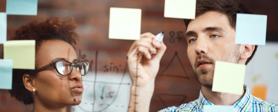 Accounting Professional