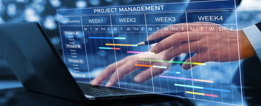 Accounting Professional