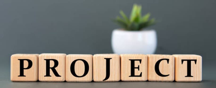 Accounting Professional