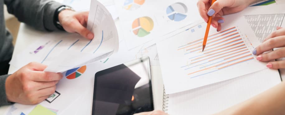 Accounting Professional
