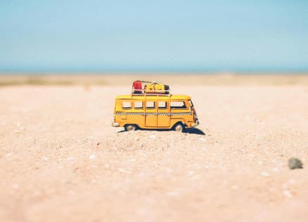 What Will You Learn in a Tourism Management Course?