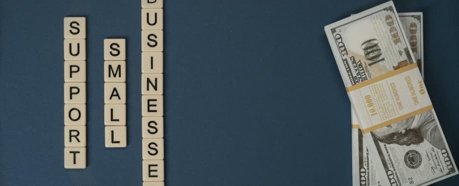 Accounting Professional