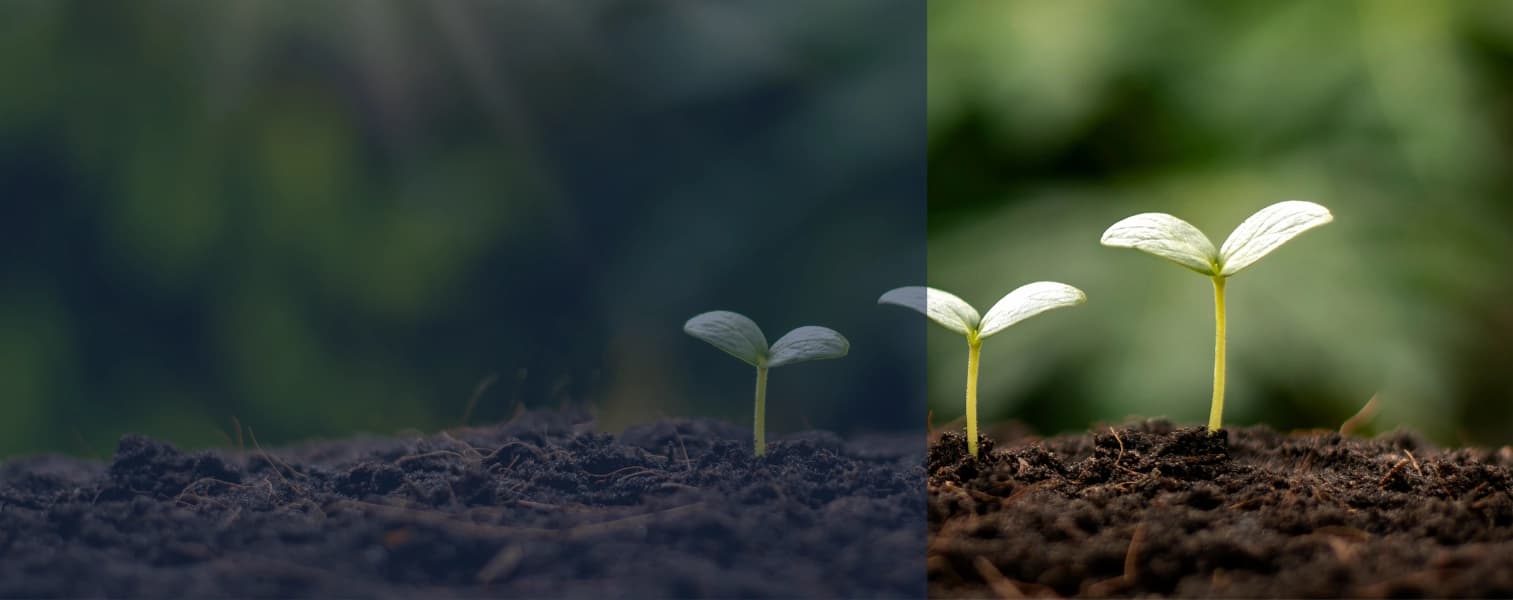 Environmental Management & Agriculture Courses (Online)