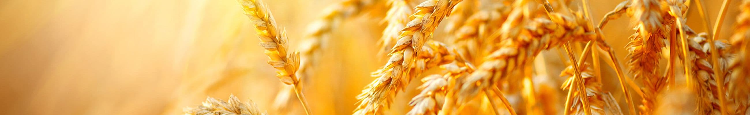 Environmental Management & Agriculture Courses in London (Classroom)