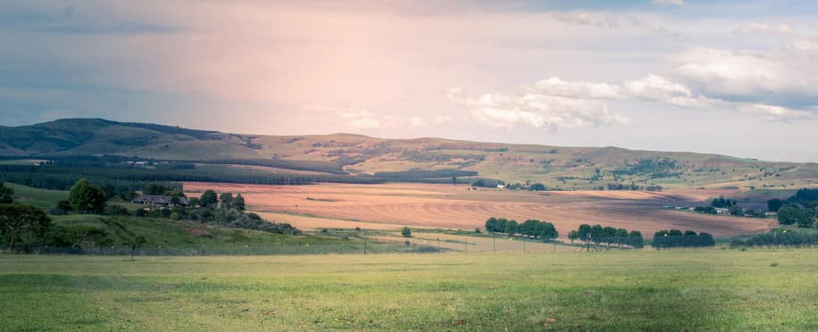 Agriculture Courses: Preparing the Next Generation of Farmers