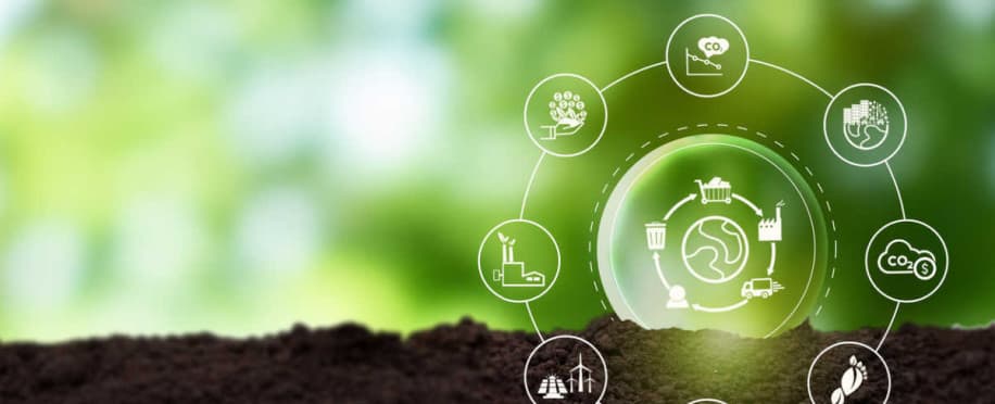 The Importance of Supply Chain Sustainability in Today's Business