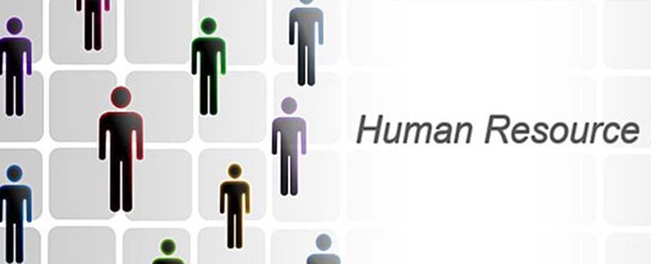 Accounting Professional