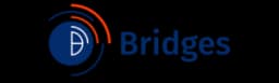 Bridges Worldwide (UK)