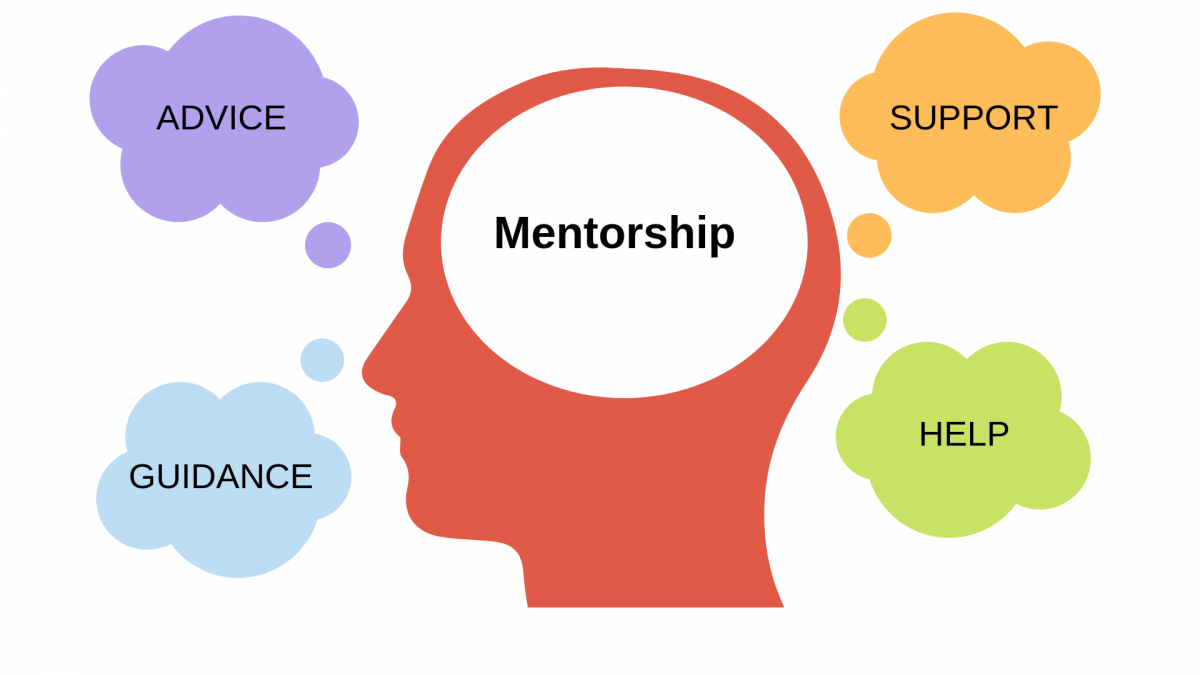 The Role Of Mentorship In The Success Of A Start-Up