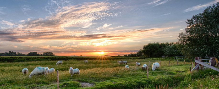 farming courses in london