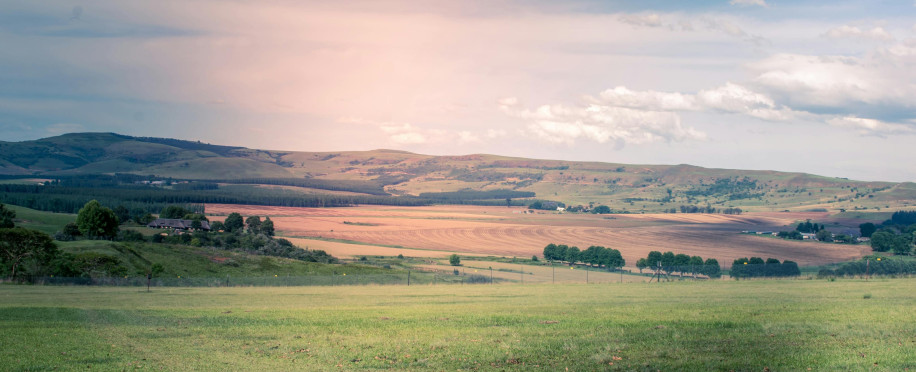 Agriculture Courses: Preparing the Next Generation of Farmers